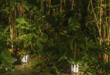 Vegetação verde iluminada por duas arandelas solares retangulares.