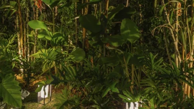 Vegetação verde iluminada por duas arandelas solares retangulares.