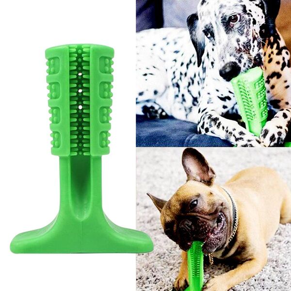 Casa confortável para Pet: Escova Dentes Mordedor Médio Canina Remove Tártaro
