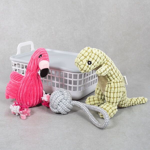 Casa confortável para Pet: Kit Pet Organização, Brinquedos E Pelúcia