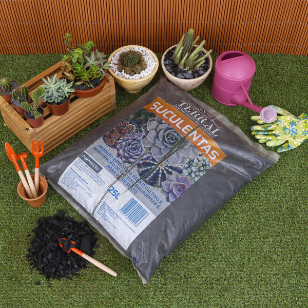 Como fazer substrato para plantas passo a passo Blog Leroy Merlin