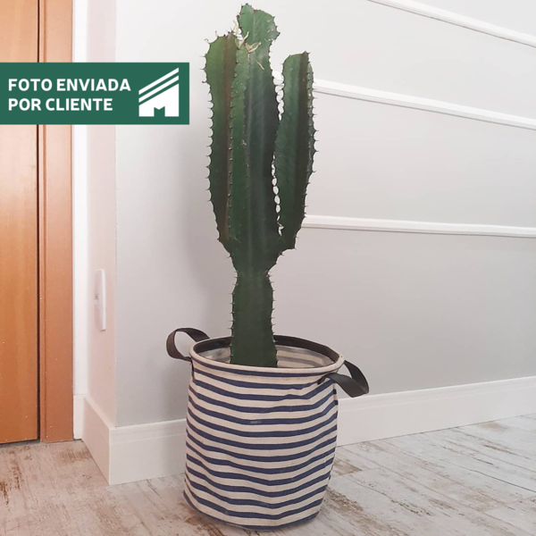 8 modelos de rodapé de EVA: tudo sobre esse acabamento