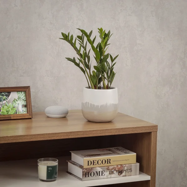 Vaso cerâmico metade branco e metade cinza com planta, em móvel de madeira com livros e enfeites.