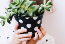 Criança com vaso de planta