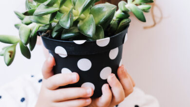 Criança com vaso de planta